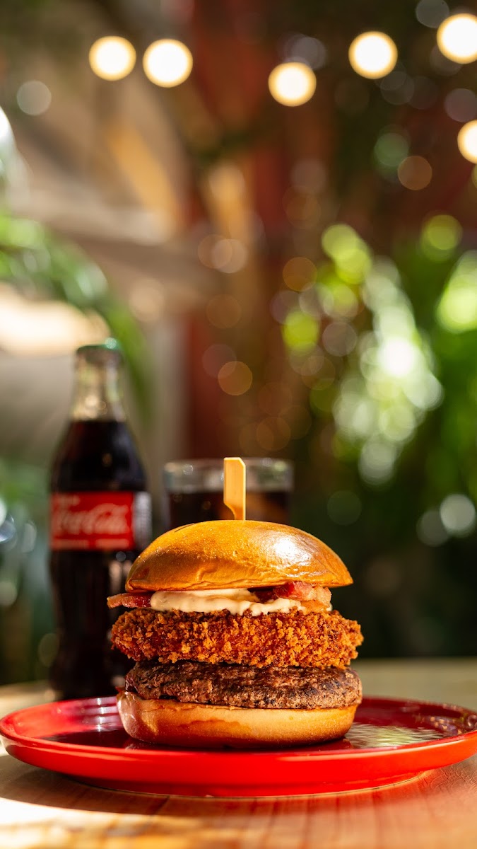 O Bosque Café Photos 2